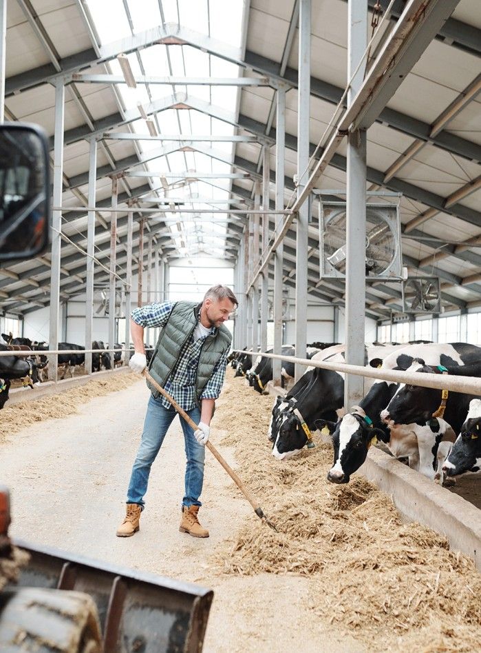 Fachbereich Tierwirte